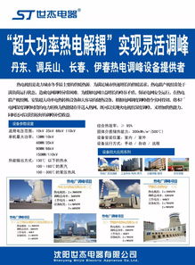 我国电力辅助服务市场的发展历程及展望