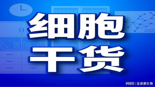 细胞干货丨HCC1954细胞培养研究的关键产品与服务